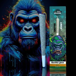 Preliado Gorilla Glue 800% NL1