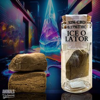 1Gr Hash Ice o Lator CBD