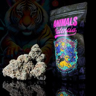 1Gr Fruit Cake GreenHouse CBD