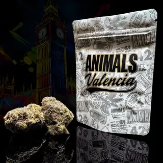 1Gr London Cake Indoor CBD