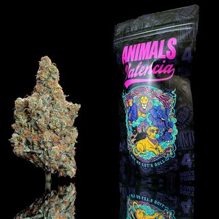 20Gr Tangie Tonic GlassHouse CBD