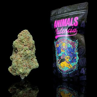 2Gr Cali Grape GlassHouse CBD