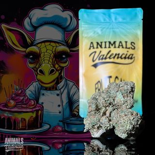 2Gr Fruit Cake GreenHouse CBD