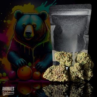 50Gr MiniFlores Citrus Bloom GreenHouse Cbd