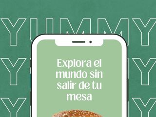 Vibo tinto Baigorri Rioja