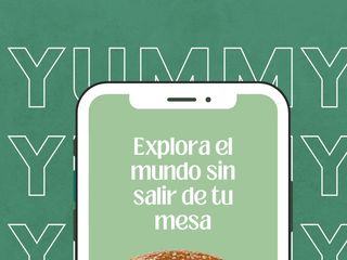 Vino tinto Brezo Mencía