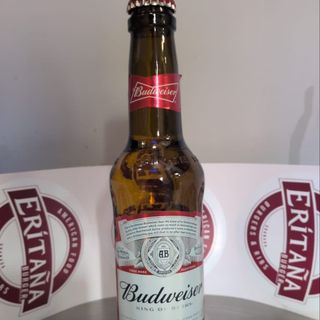 Budweiser BOTELLA CRISTAL (330 ml.)