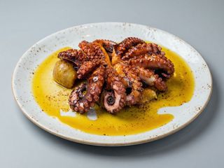 Pulpo