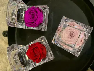 Rosa perfumada