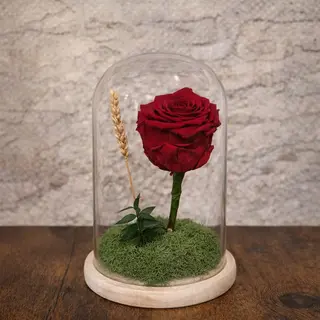 Rosa preservada en cupula madera alta