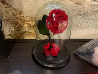 Rosa preservada en cúpula