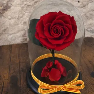 Rosa preservada cupula negra