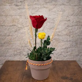 Arreglo rosas preservadas bicolor