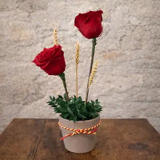 Arreglo 2 rosas preservadas rojas