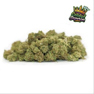 Mini Buds GUAVALATO Naturwest Bolsa 20 Gr.