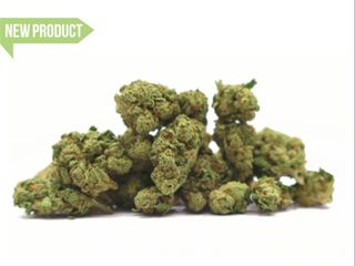 Mini Buds Limosa Naturwest bolsa 10gr