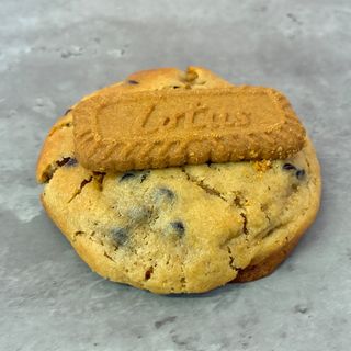 Cookie Lotus XL