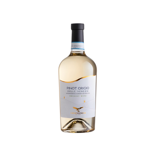 Pinot Grigio D.O.C.