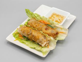 4. Rollo Nem Hà Noi