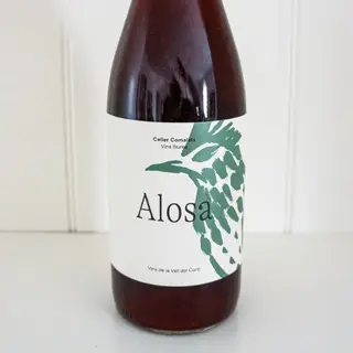 Comalatas Alosa