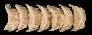 Gyoza Pato Y Pollo (7 Pzs.)