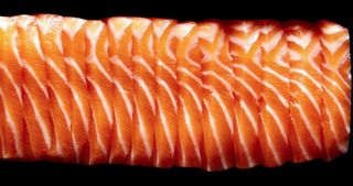 Raw De Salmón (10 Pzs.)
