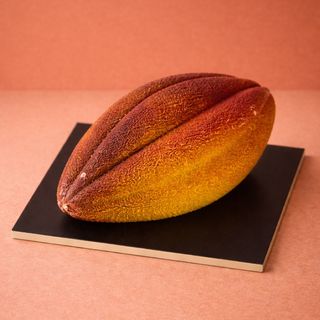 VAINA CACAO