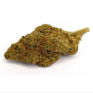 Girl Scout Cookies - 15% CBD Big Buds - Indoor, 1Gr
