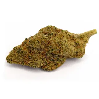 Girl Scout Cookies - 15% CBD Big Buds - Indoor, 5Gr