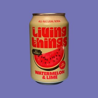 WATERMELON & LIME SODA