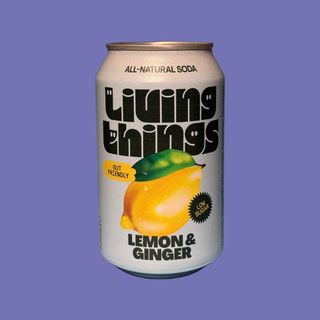 LEMON & GINGER SODA