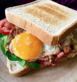 Sándwich especial