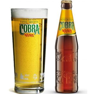 Cobra beer
