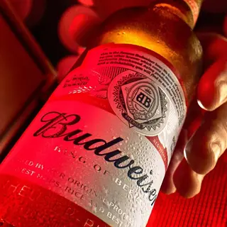 Budweiser tercio cerveza