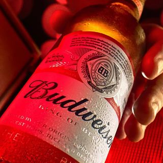 Budweiser tercio cerveza