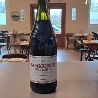 Lambrusco Emilia 