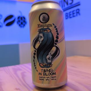 Twins in Bloom - NEIPA
