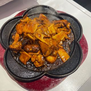 74-pato en fuente quemada