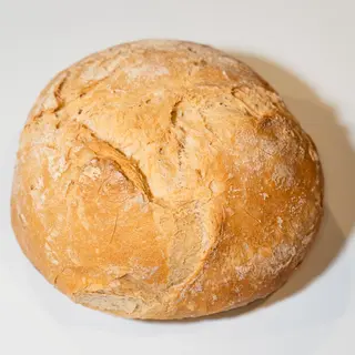 Trigo Paisano 