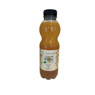 Té Frio Verde Jengibre 500 Ml