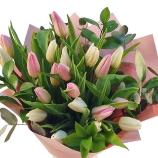 Ramo 20 tulipanes rosados y/o blancos