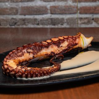 Pulpo