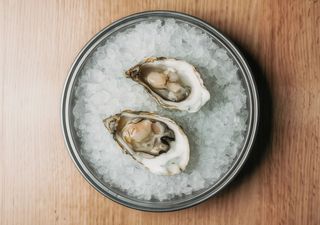 Ostras (1 ud.)