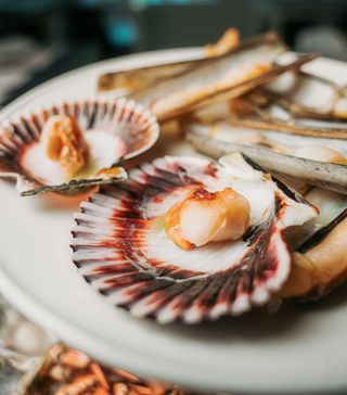 Zamburiñas a la plancha (1 ud.))