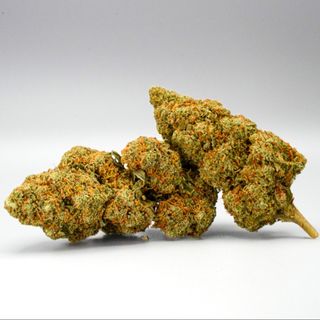 Flor Cali Orange Gelatto Nano9 CBD 82% - 2G