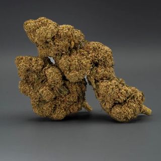 Flor Candy Kush CBD 21% - 10G