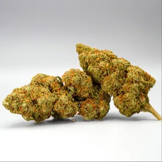 Cali Orange Gelato CBD 17% - 1g