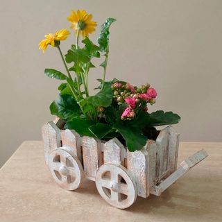 Carretilla Floral con Plantas Naturales