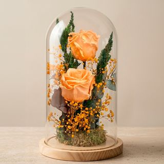 Cúpula Floral Salmón Preservada