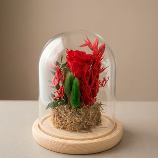 Cúpula Floral Roja Preservada Deluxe
